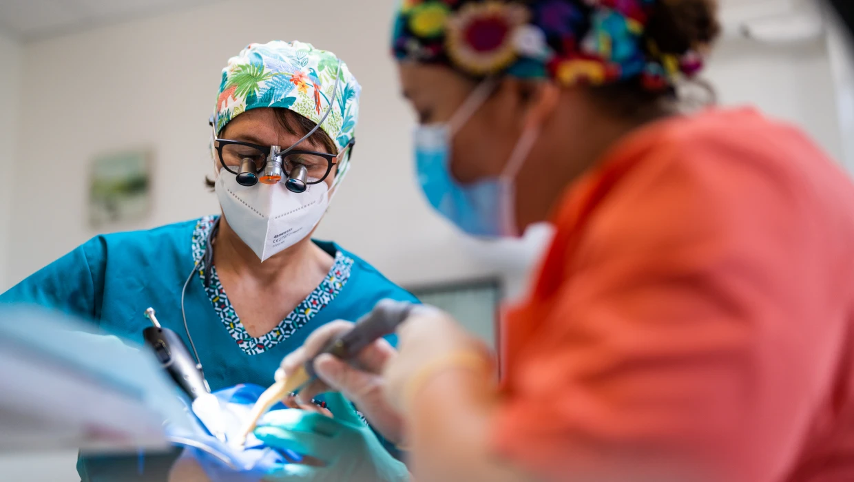 esthetique dentaire au cabinet dentaire BioTooth à Arras