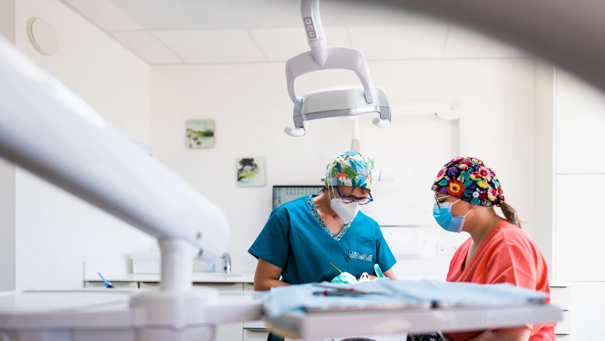 traitement des gencives au cabinet dentaire BioTooth à Arras